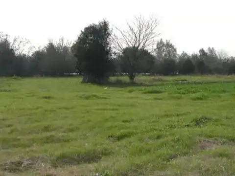 Francisco Lauria 3000