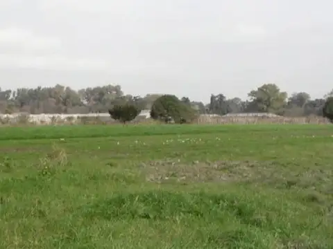 Terreno de 3 hectáreas