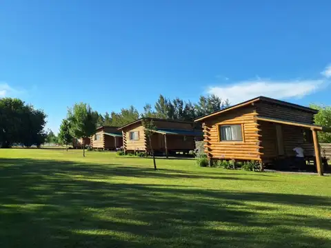Domingo Masciotra 900