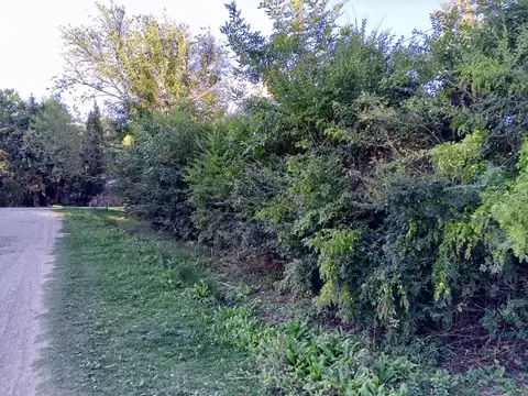 Terreno en Venta de 1200,0 m2
