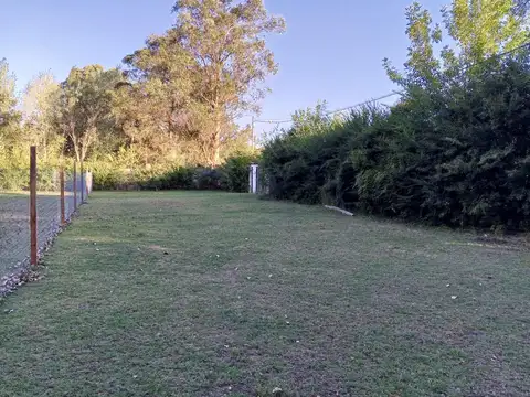 19 Y 646
