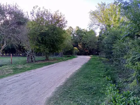 LOTE EN VENTA 19 y 646
