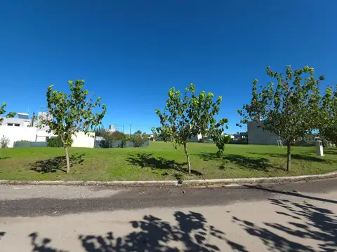 Terreno en Venta en Tejas 4, USD 35.000