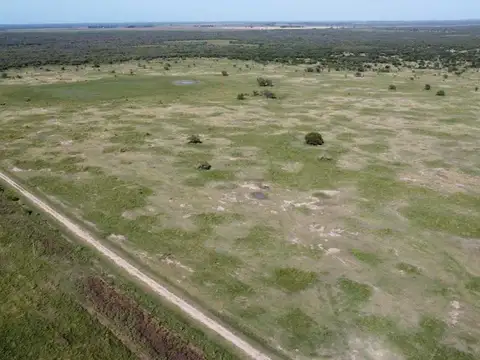VENTA / CAMPO GANADERO 1385 HECTÁREAS / HUANQUEROS