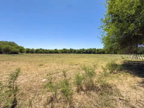 CAMPO 23 HA EN VENTA FINCA LA ESPERANZA GUACHIPAS