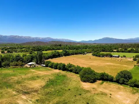 CAMPO 23 HA EN VENTA FINCA LA ESPERANZA GUACHIPAS