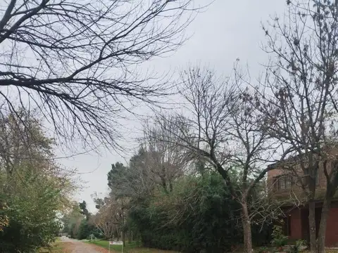 Ruta 25 Km 4,6