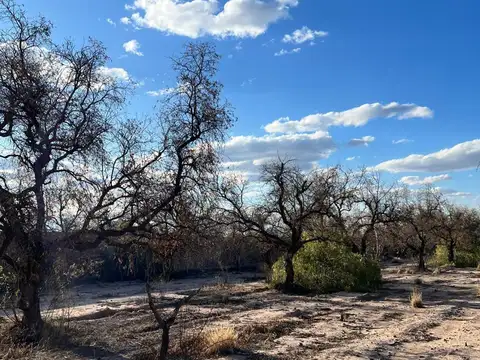 Terreno en venta Guaymallén ideal desarrollo