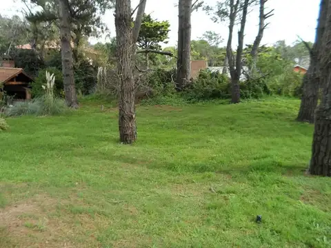 Terreno en Venta de 687,0 m2