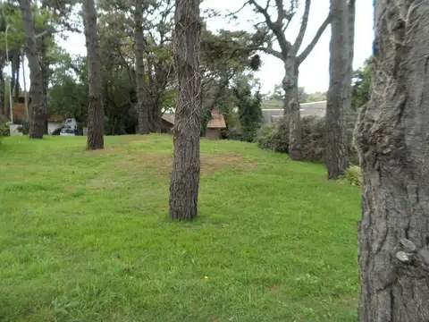 Terreno en Venta de 687,0 m2