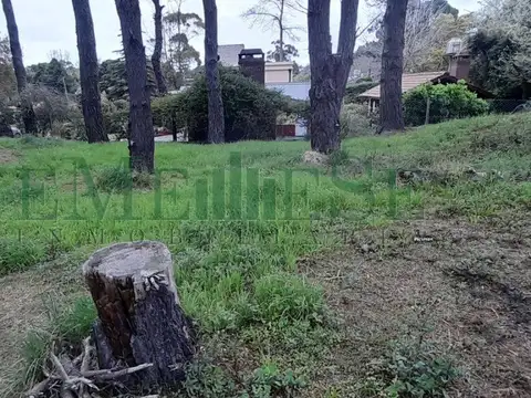 Terreno en Venta de 687,0 m2
