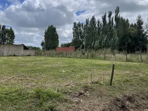 Calle 11 y  10, Salvador Maria, Lobos