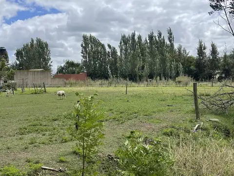 Terreno en Venta 25  mts Frente