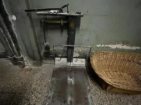 SENGUEL 6600