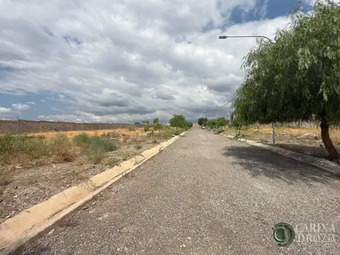 Terreno en Venta 12  mts Fondo