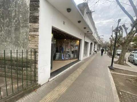 Locales centricos  Villa Elisa