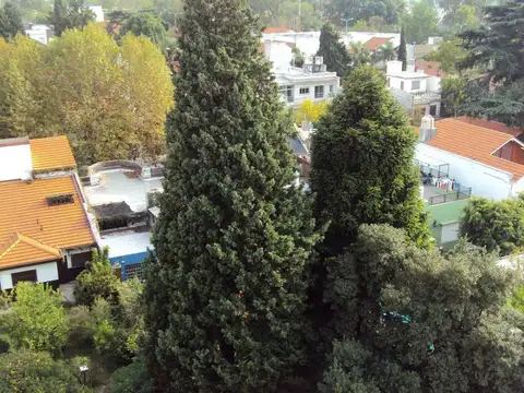 Zapiola 100