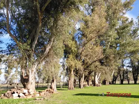 Venta Campo de 12,7 hectareas en Ruta 47 km 5 a Navarro , Lujan
