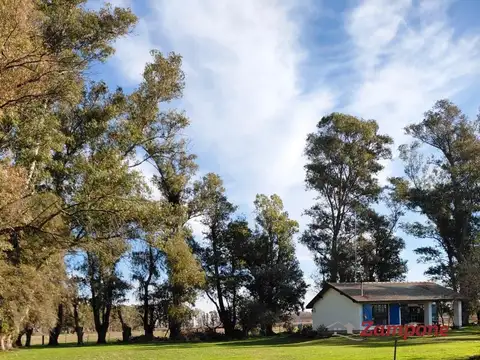 Venta Campo de 12,7 hectareas en Ruta 47 km 5 a Navarro , Lujan