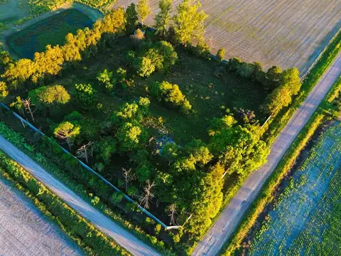 Terreno en Venta de 10000,0 m2
