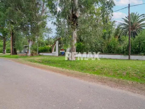 Avenida Los Eucaliptos 100