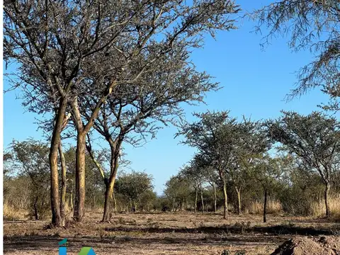 Terreno en Venta de 5006,0 m2
