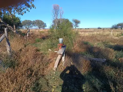 CAMPO MIXTO 91 HECTAREAS VILLA LARCA SAN LUIS