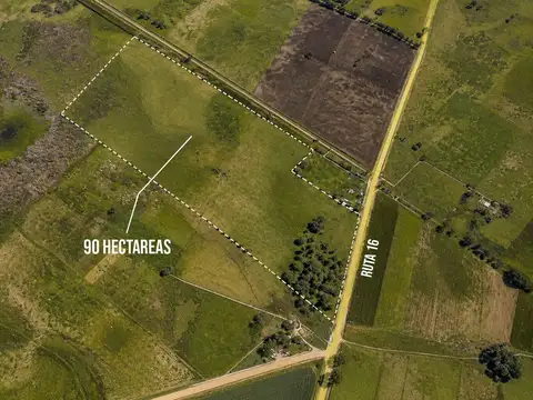 CAMPO GANADERO EN VENTA CAÑUELAS 90 HECTAREAS