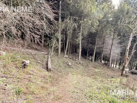 Terreno en Venta de 2033,0 m2