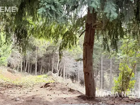 Terreno en Venta en San Carlos De Bariloche, USD 130.000