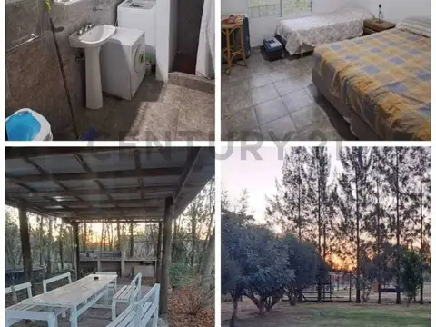 43 Entre 278 y 281 100, Piso 0