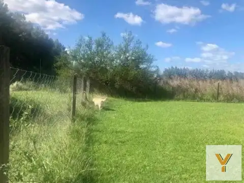 Terreno en Venta 50  mts Fondo