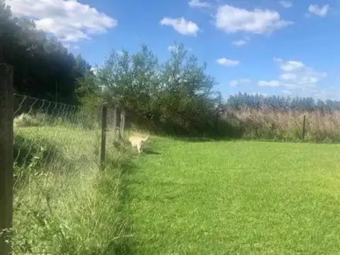Terreno en Venta 50  mts Fondo