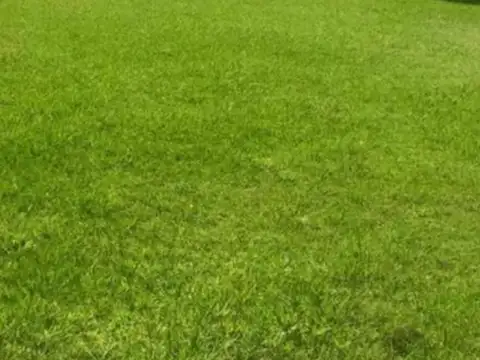 Terreno en Venta 20  mts Frente