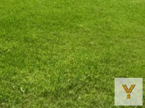 Terreno en Venta 20  mts Frente