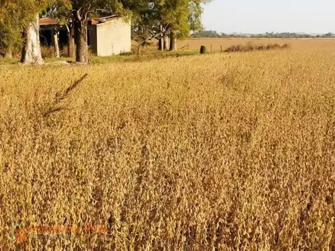 Terreno en Venta de 1200000,0 m2