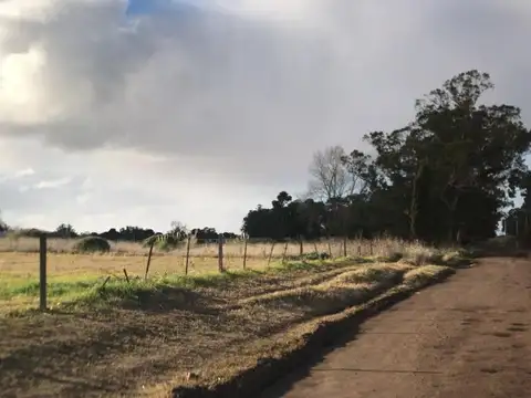 Lote hectareas 3/4 - zona El Griego