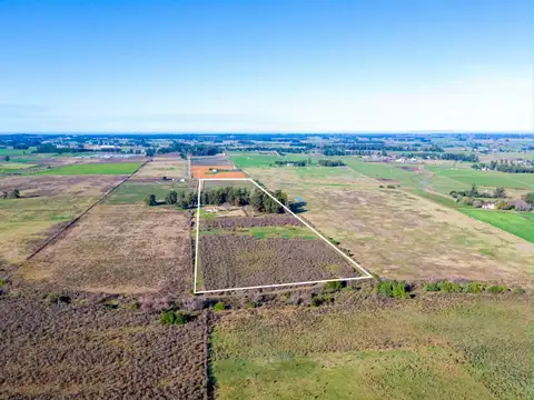 Venta de campo 10Ha. con casa en Estación Pedrera