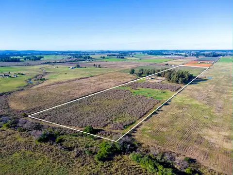 Venta de campo 10Ha. con casa en Estación Pedrera