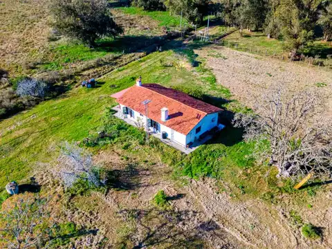 Venta de campo 10Ha. con casa en Estación Pedrera