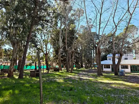 Machado 1100