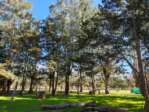Camping en Mar de Ajó: 6.000 m² para vivir del verano