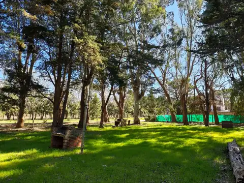 Terreno en Venta de 5989,0 m2
