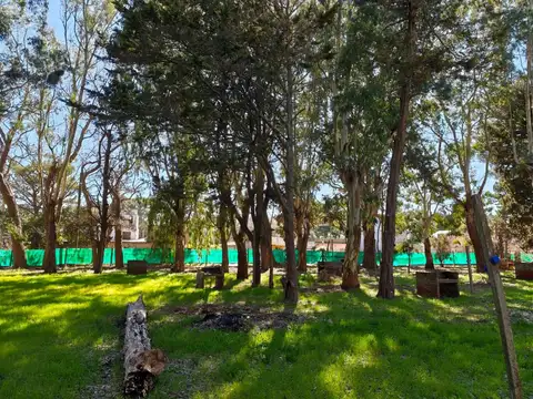 Camping en Mar de Ajó: 6.000 m² para vivir del verano