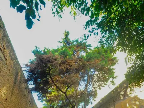 Combate De Los Pozos 1378 , Piso 1