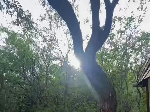 02520 - Capilla del Monte