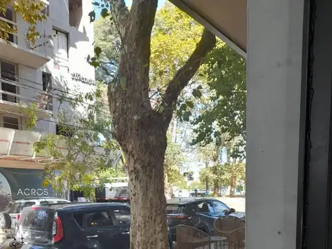 Local en Alquiler A Estrenar