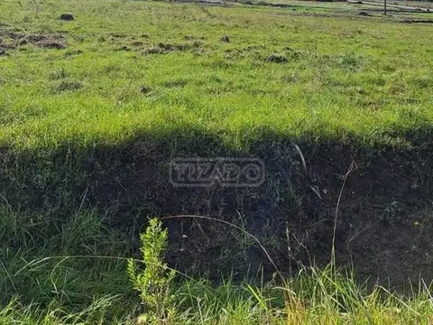 Barrio Lomas de Manzanares. Calle Beethoven-manzanares Sn 100