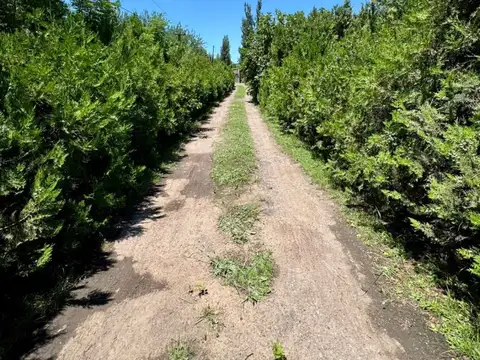 Terreno en Venta de 13120,0 m2