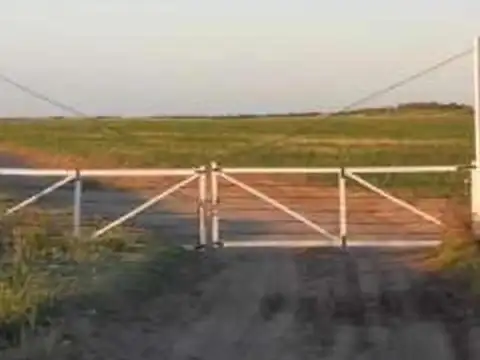 San Luis